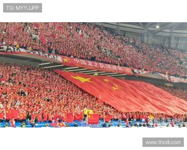 世界杯预选赛精彩纷呈 中国队顽强拼搏欲再创历史辉煌 世界杯预选赛精彩纷呈 中国队顽强拼搏欲再创历史辉煌