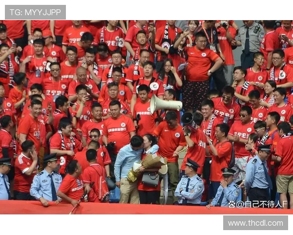 国家队迎关键战新帅磨合阵容球迷期待世界杯征程转机全新篇章开启